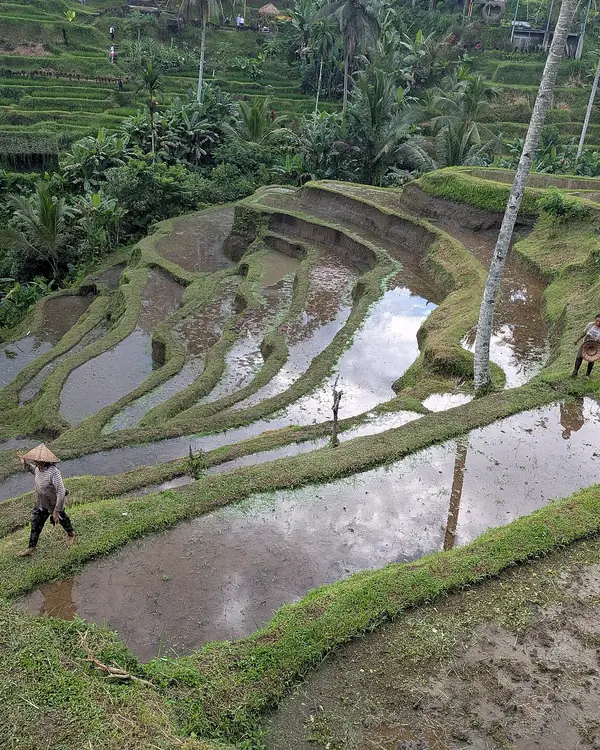 Bali